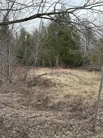 Partridge Lane Danville VT 05828