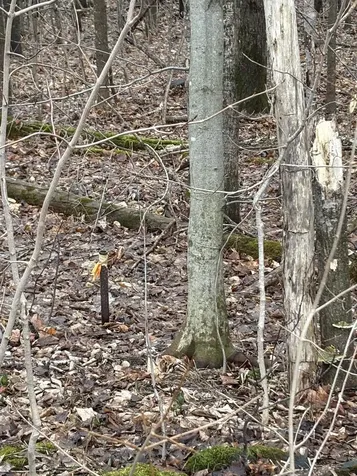 Partridge Lane Danville VT 05828