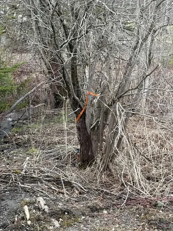 Partridge Lane Danville VT 05828