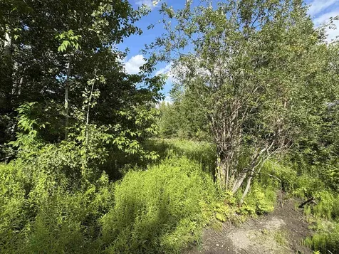 Partridge Lane Danville VT 05828