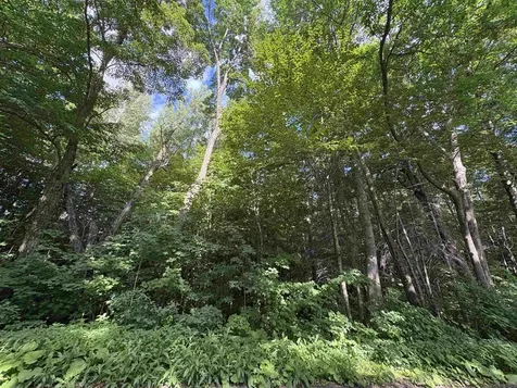 Partridge Lane Danville VT 05828