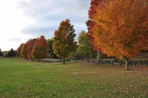 2167 Myers Road Shaftsbury VT 05262