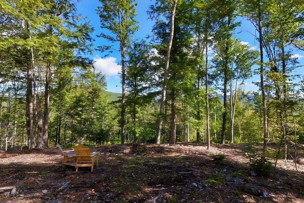 15-12-10-7 Jacob Hall Farm Road Rumney NH 03266