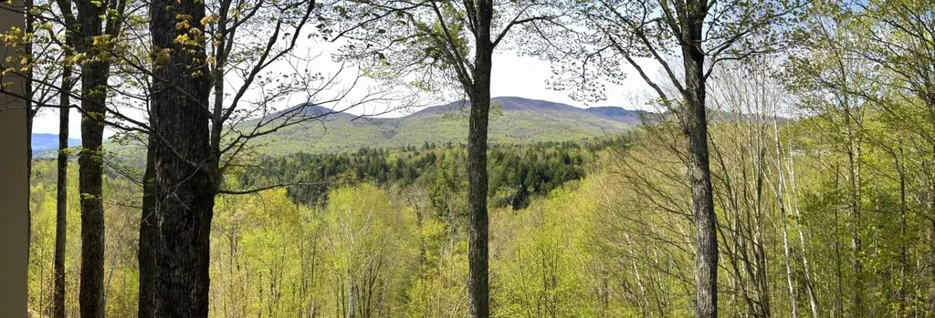 1309 Notchbrook Road Stowe VT 05672