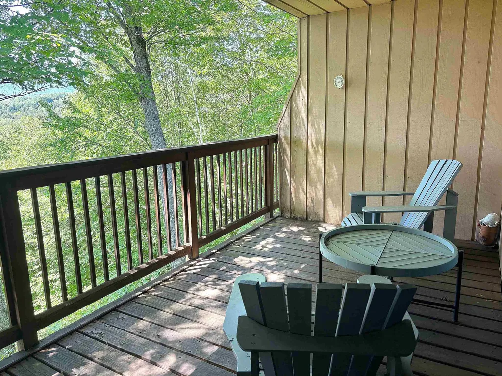 1309 Notchbrook Road Stowe VT 05672