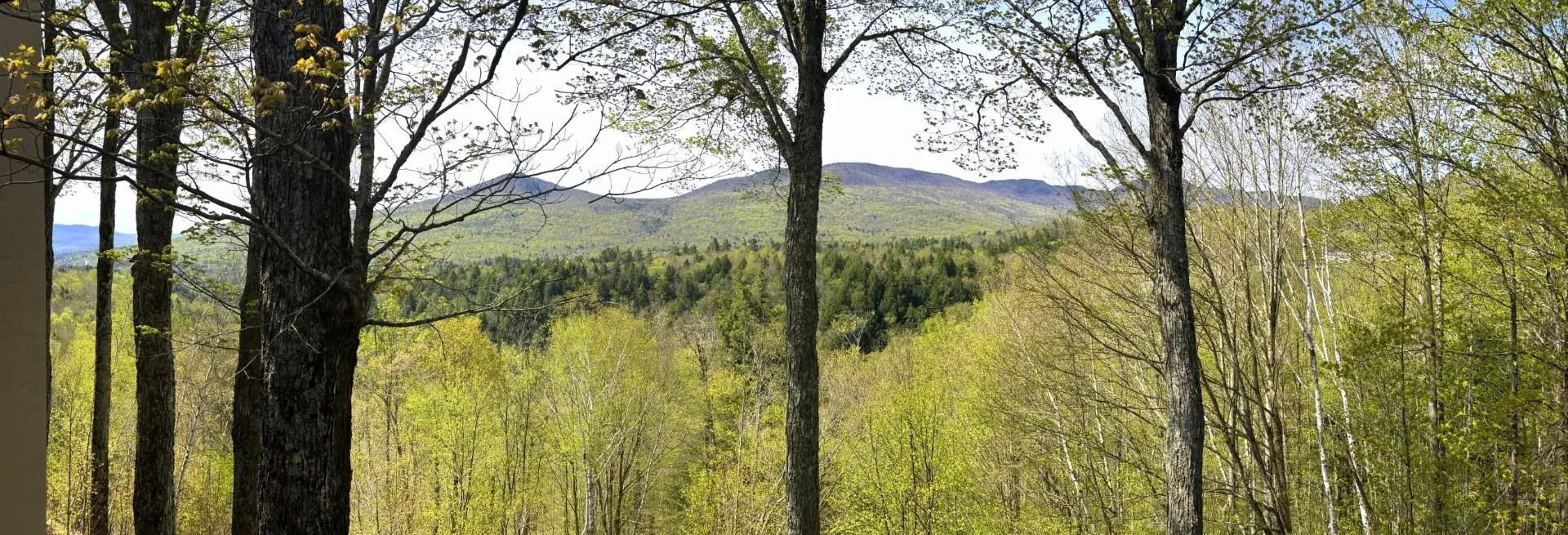 1309 Notchbrook Road Stowe VT 05672