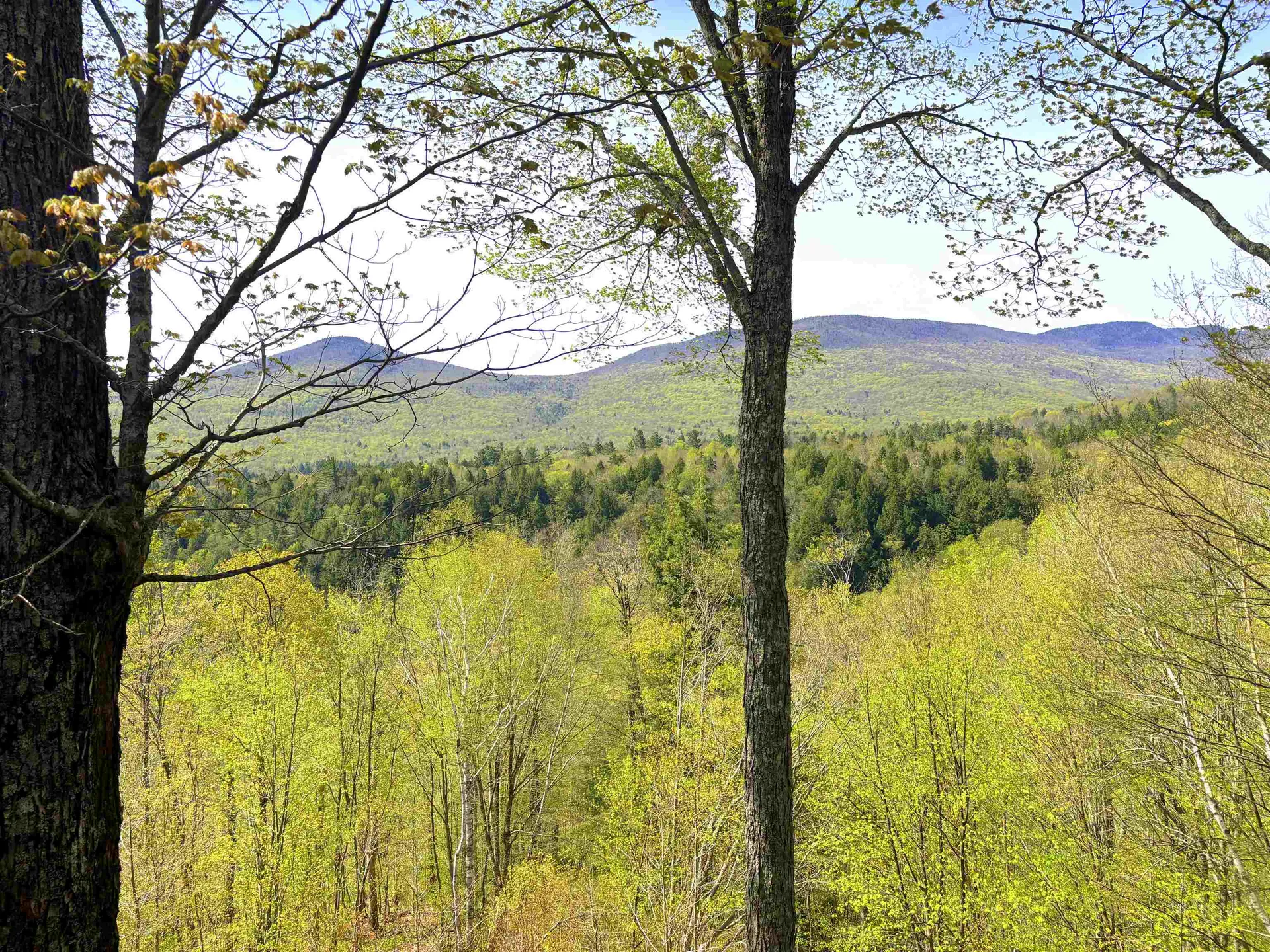 1309 Notchbrook Road Stowe VT 05672