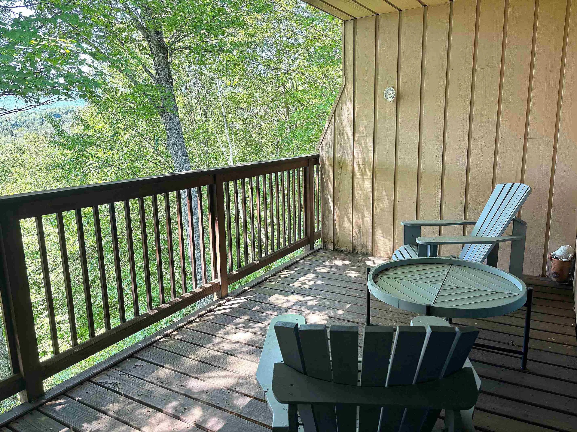 1309 Notchbrook Road Stowe VT 05672