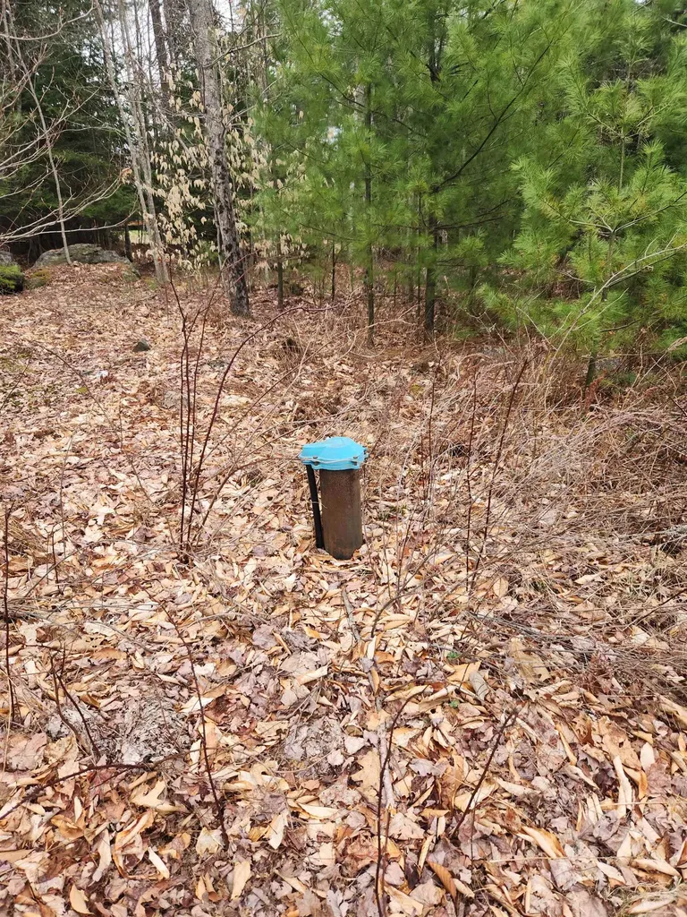 89 Ammonoosuc Avenue Bath NH 03740