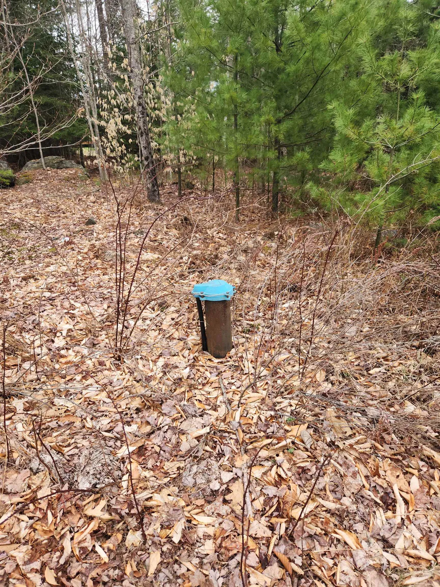 89 Ammonoosuc Avenue Bath NH 03740