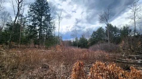 00 Missing Link Road Springfield VT 05156