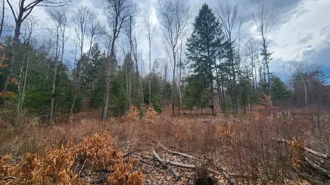 00 Missing Link Road Springfield VT 05156