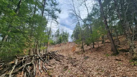 00 Missing Link Road Springfield VT 05156