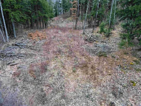 00 Missing Link Road Springfield VT 05156