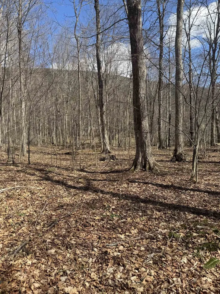 0 North Pond Road Salisbury VT 05769