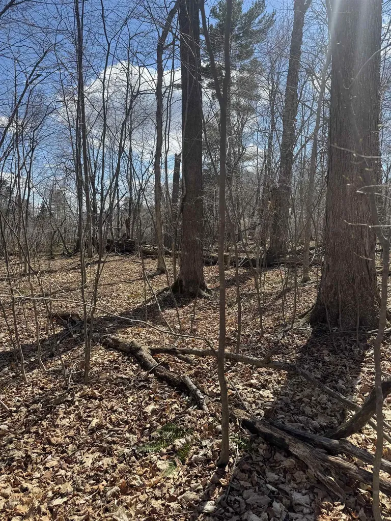 0 North Pond Road Salisbury VT 05769