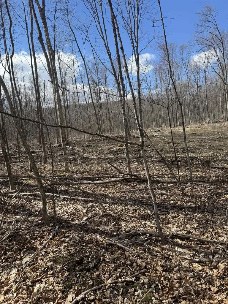 0 North Pond Road Salisbury VT 05769