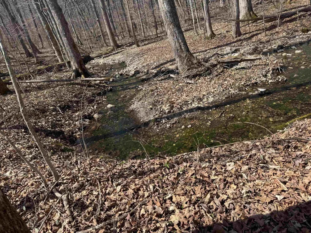 0 North Pond Road Salisbury VT 05769