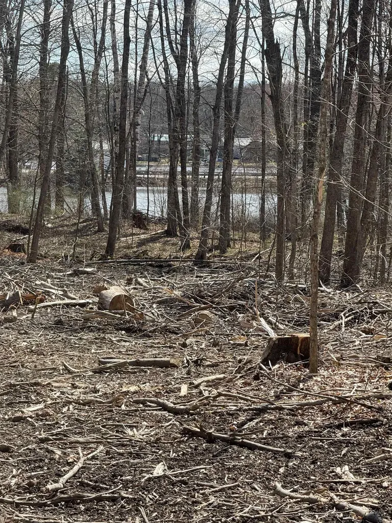 0 North Pond Road Salisbury VT 05769