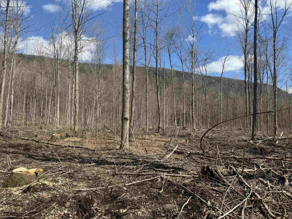 0 North Pond Road Salisbury VT 05769