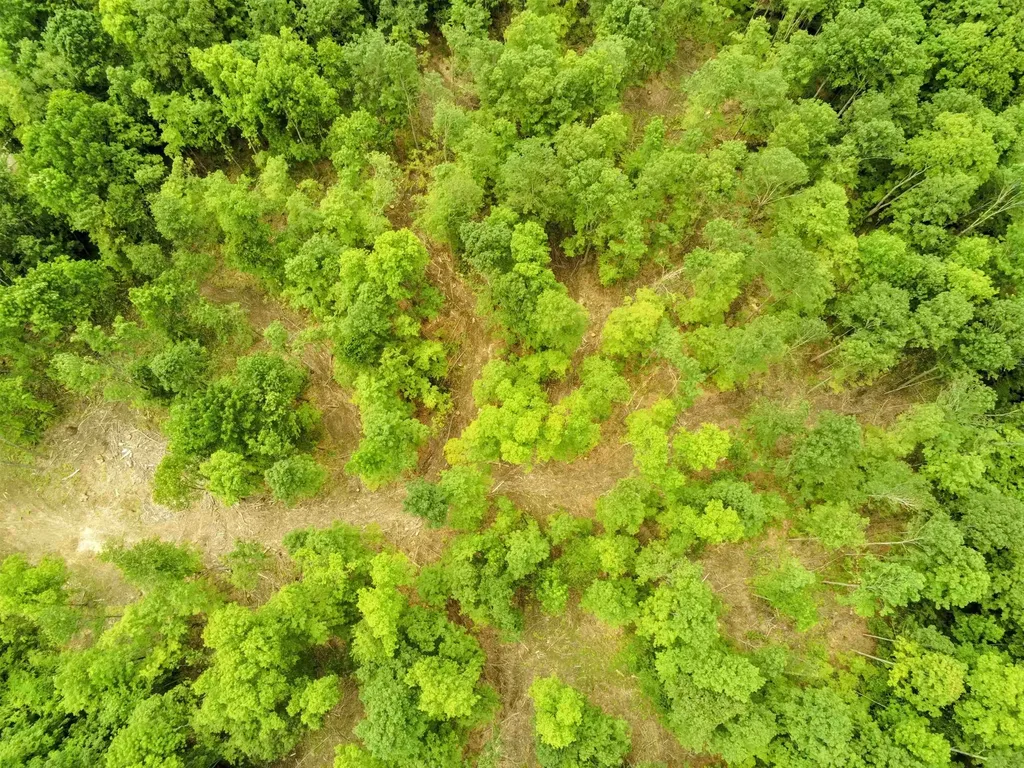 0 North Pond Road Salisbury VT 05769