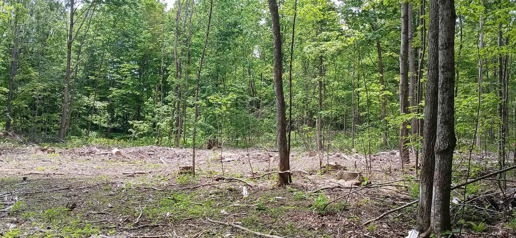 0 North Pond Road Salisbury VT 05769