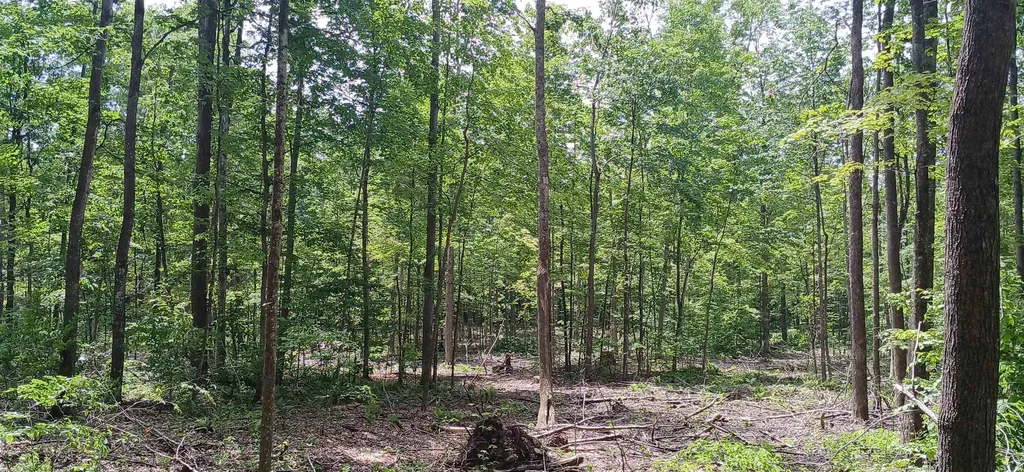 0 North Pond Road Salisbury VT 05769