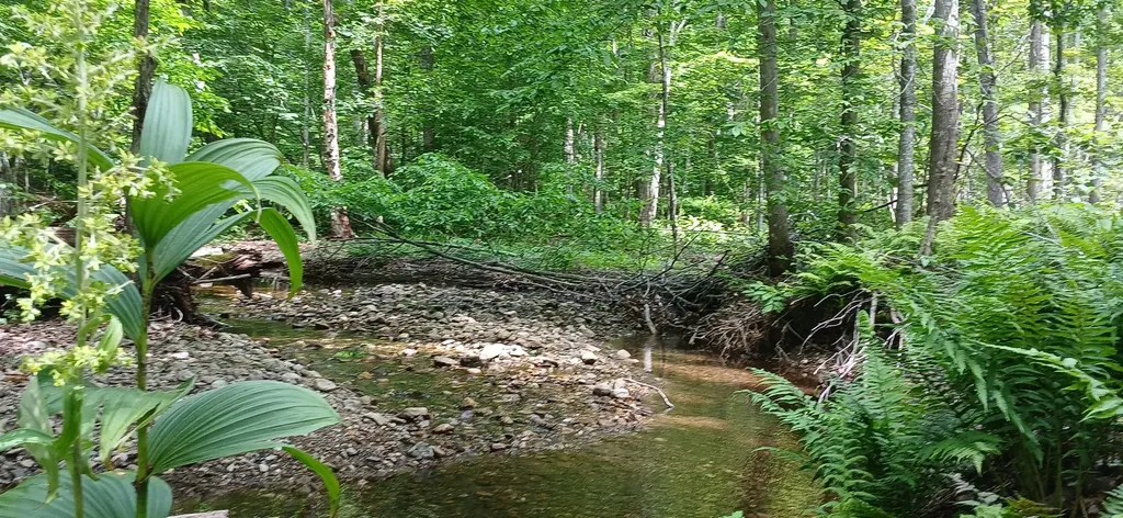 0 North Pond Road Salisbury VT 05769