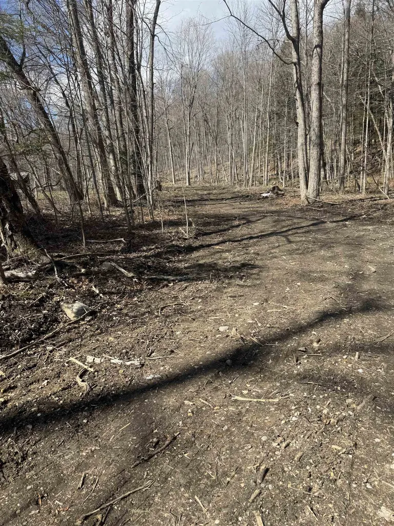 0 North Pond Road Salisbury VT 05769