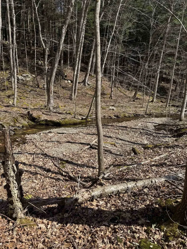 0 North Pond Road Salisbury VT 05769