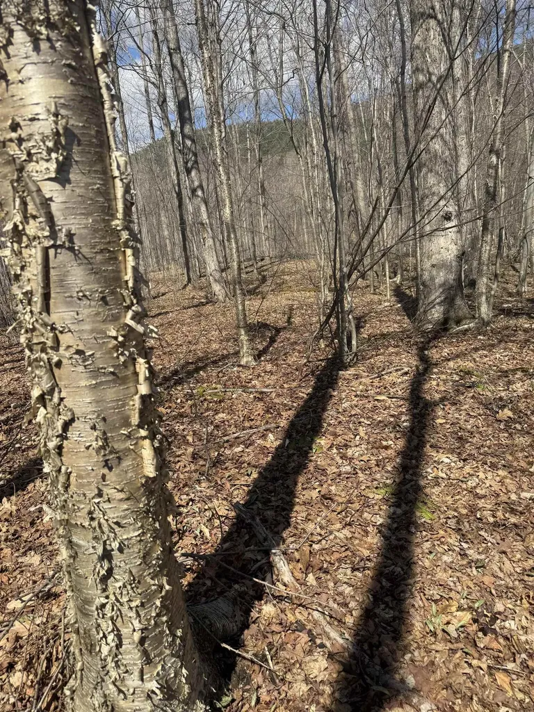 0 North Pond Road Salisbury VT 05769