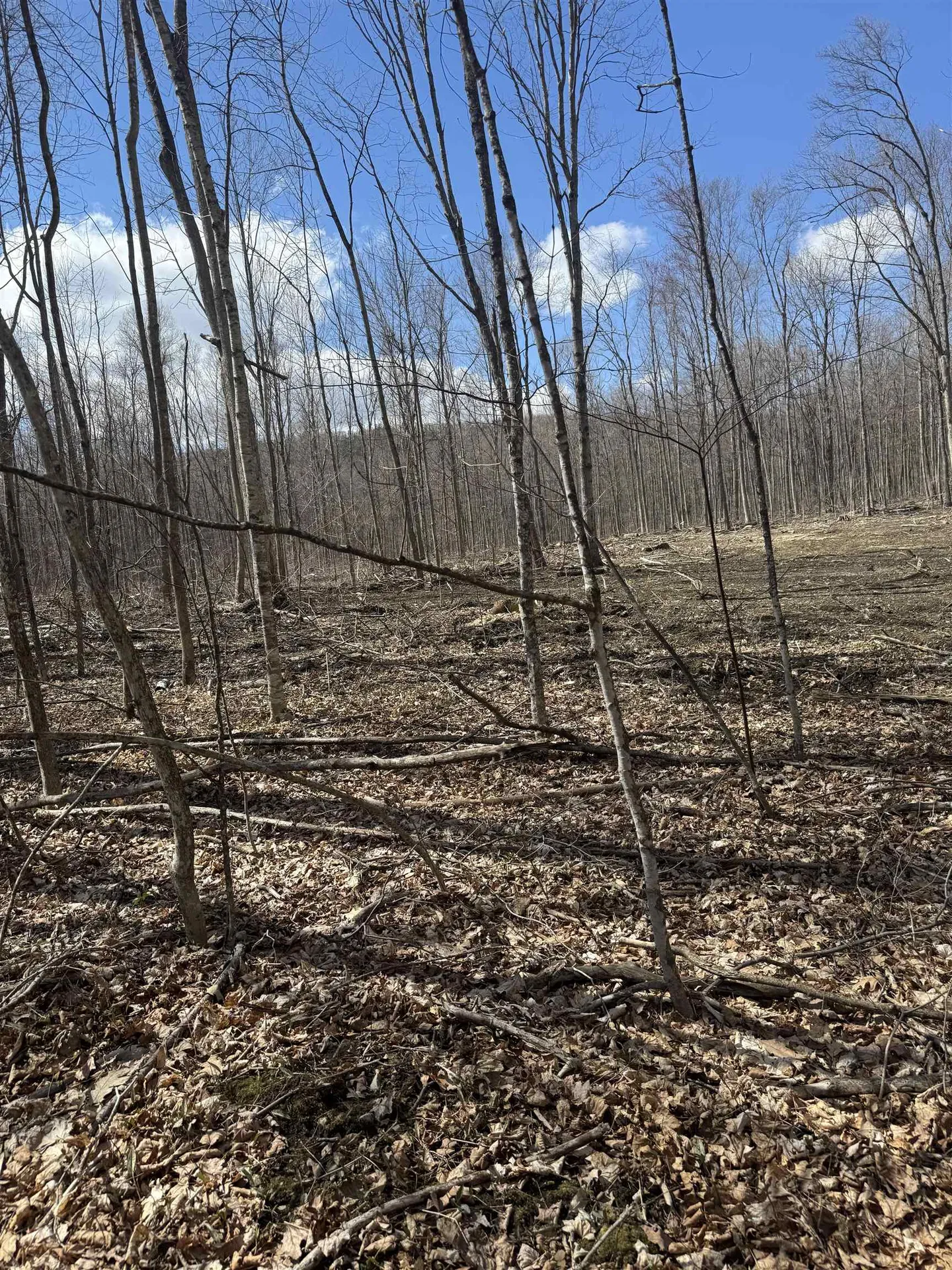 0 North Pond Road Salisbury VT 05769