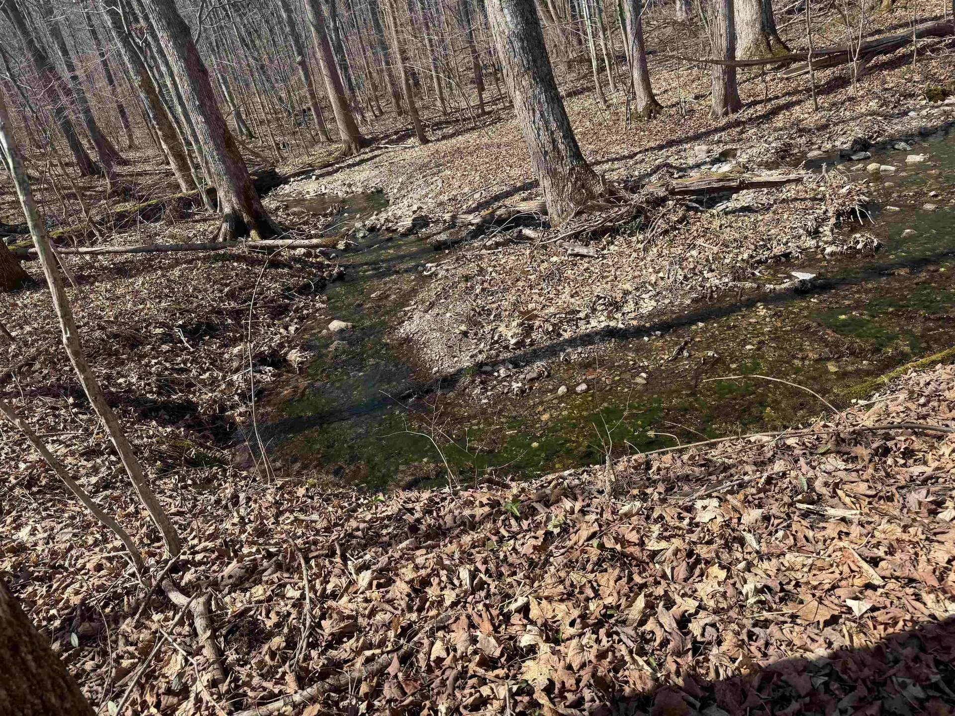 0 North Pond Road Salisbury VT 05769