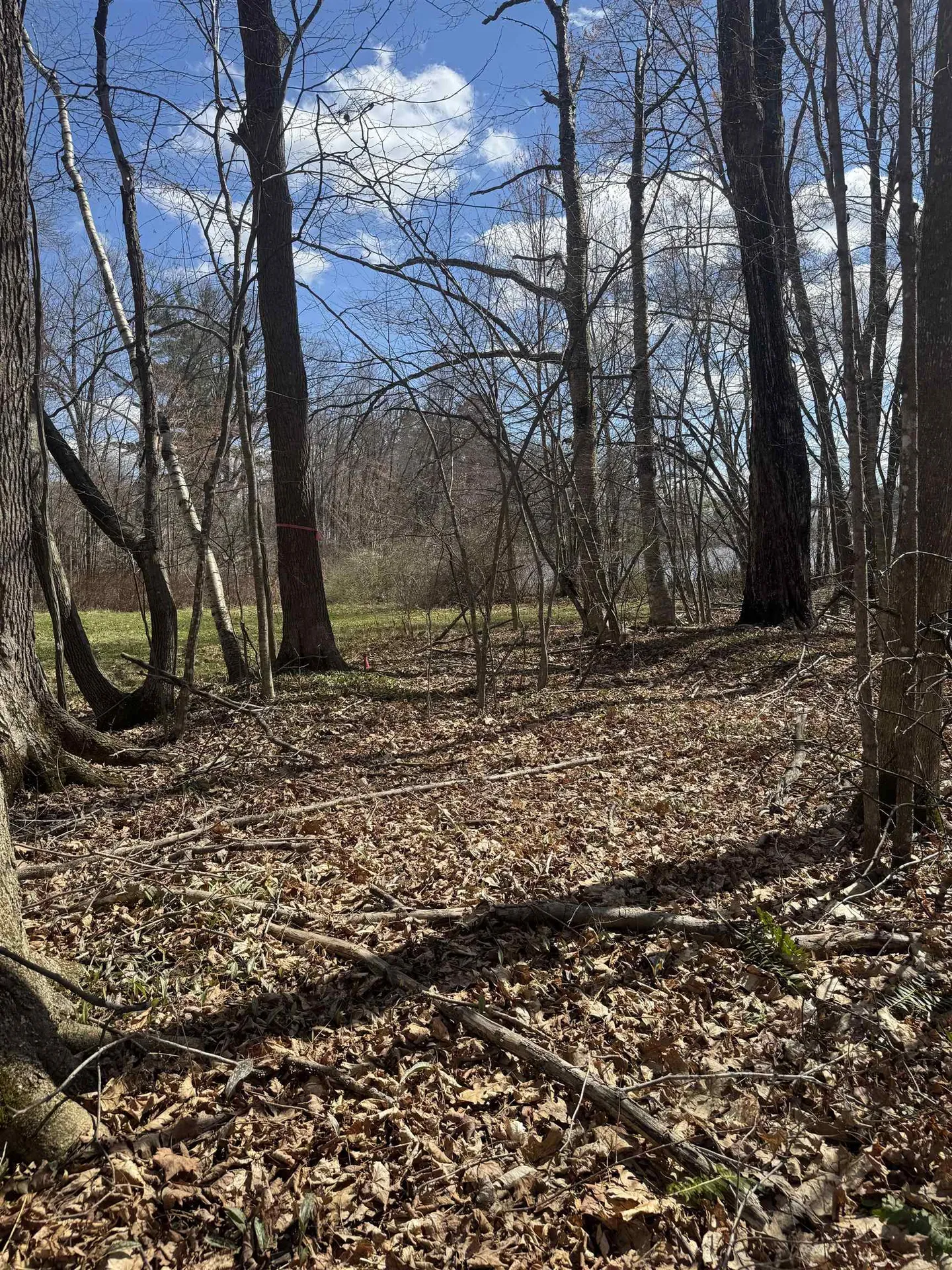 0 North Pond Road Salisbury VT 05769