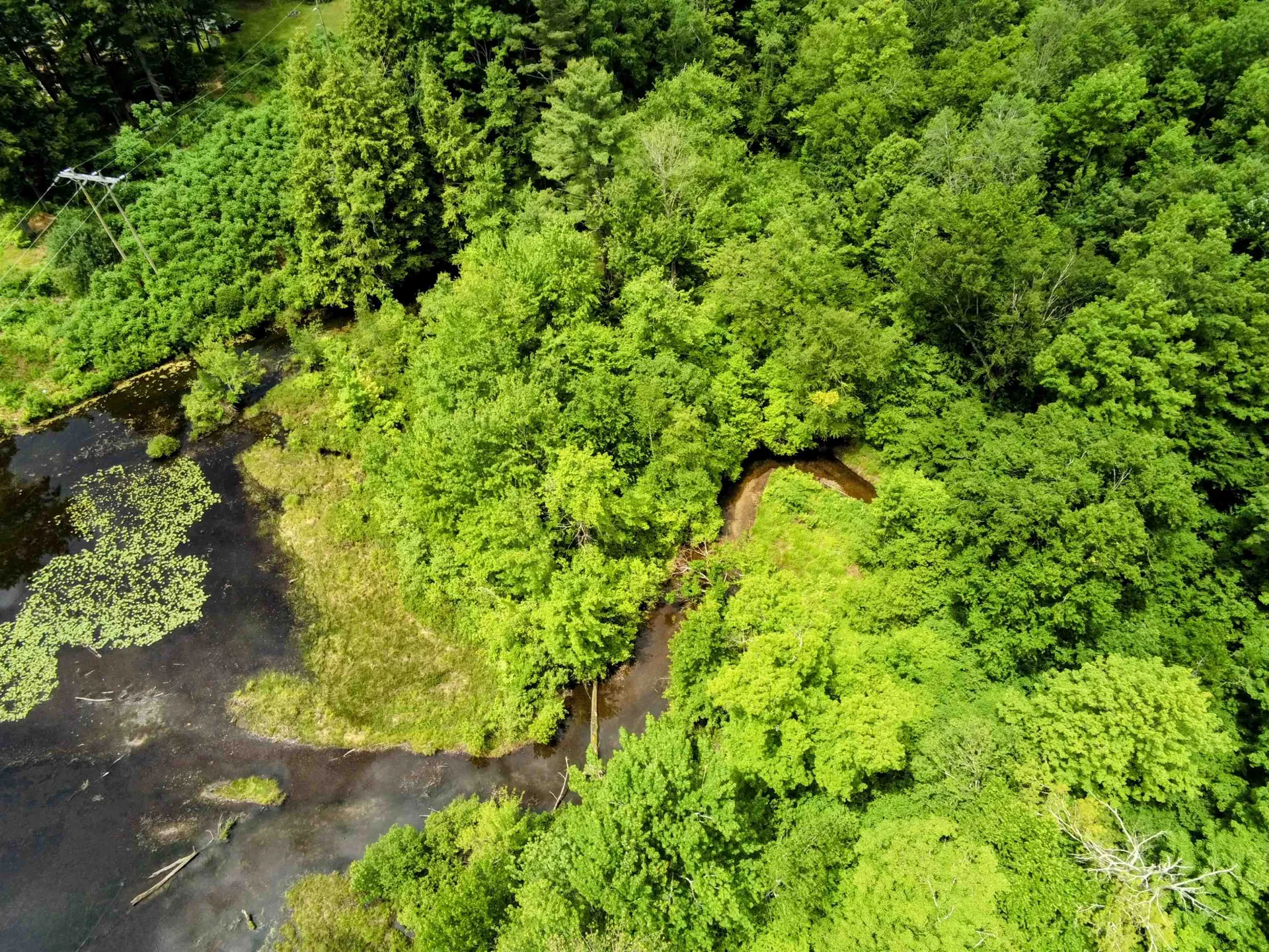 0 North Pond Road Salisbury VT 05769