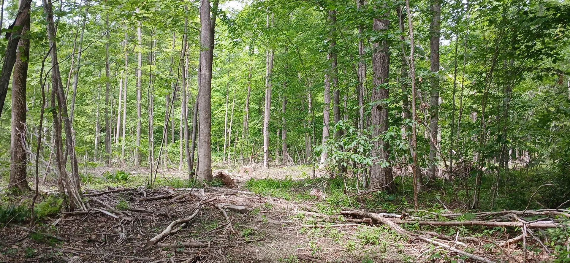 0 North Pond Road Salisbury VT 05769