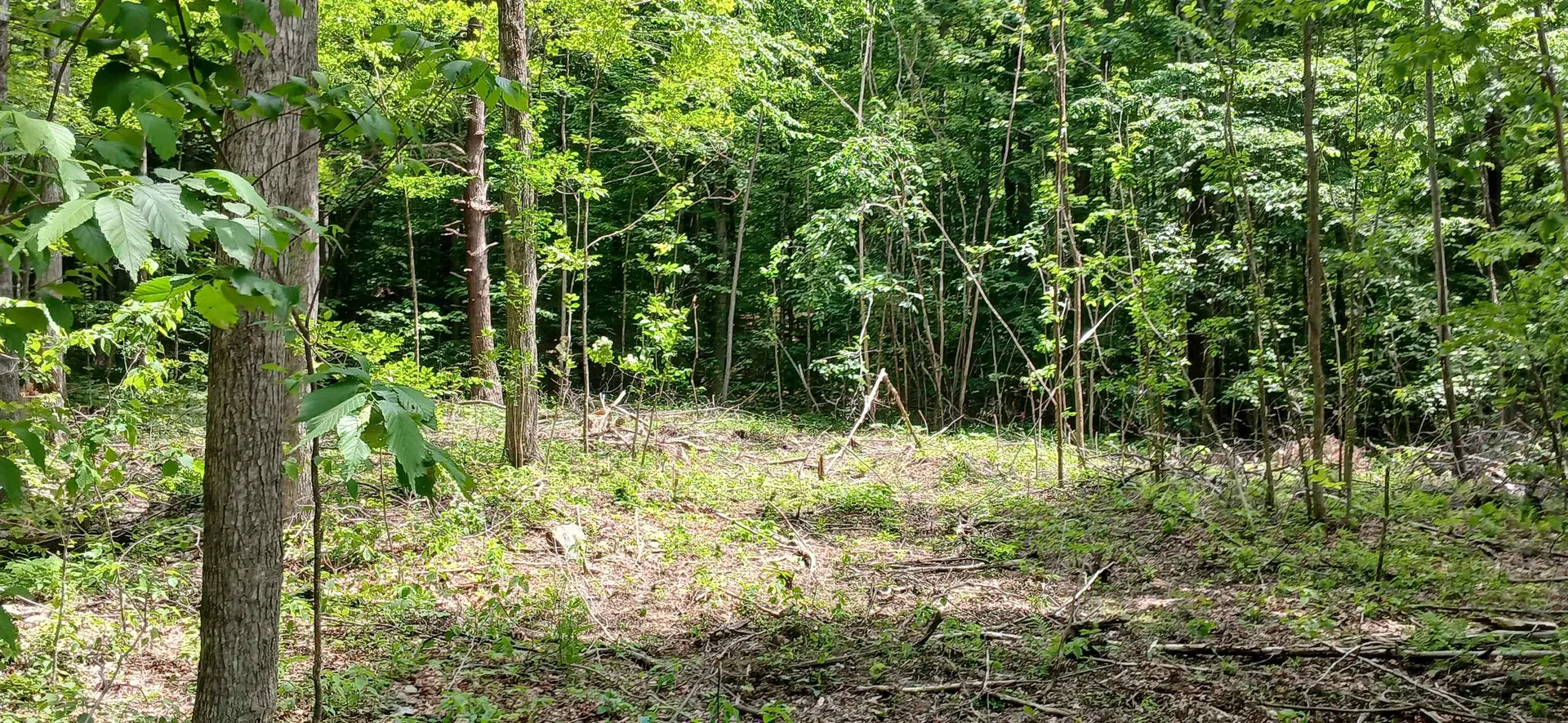 0 North Pond Road Salisbury VT 05769