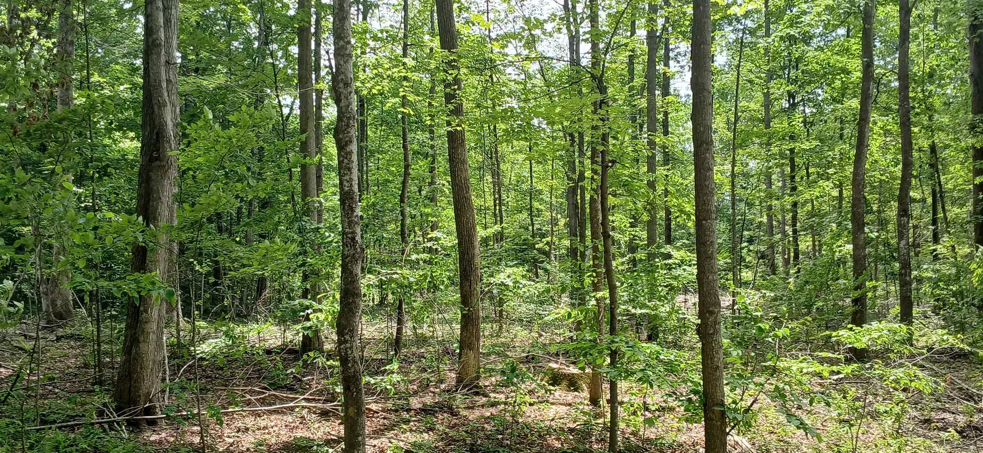 0 North Pond Road Salisbury VT 05769