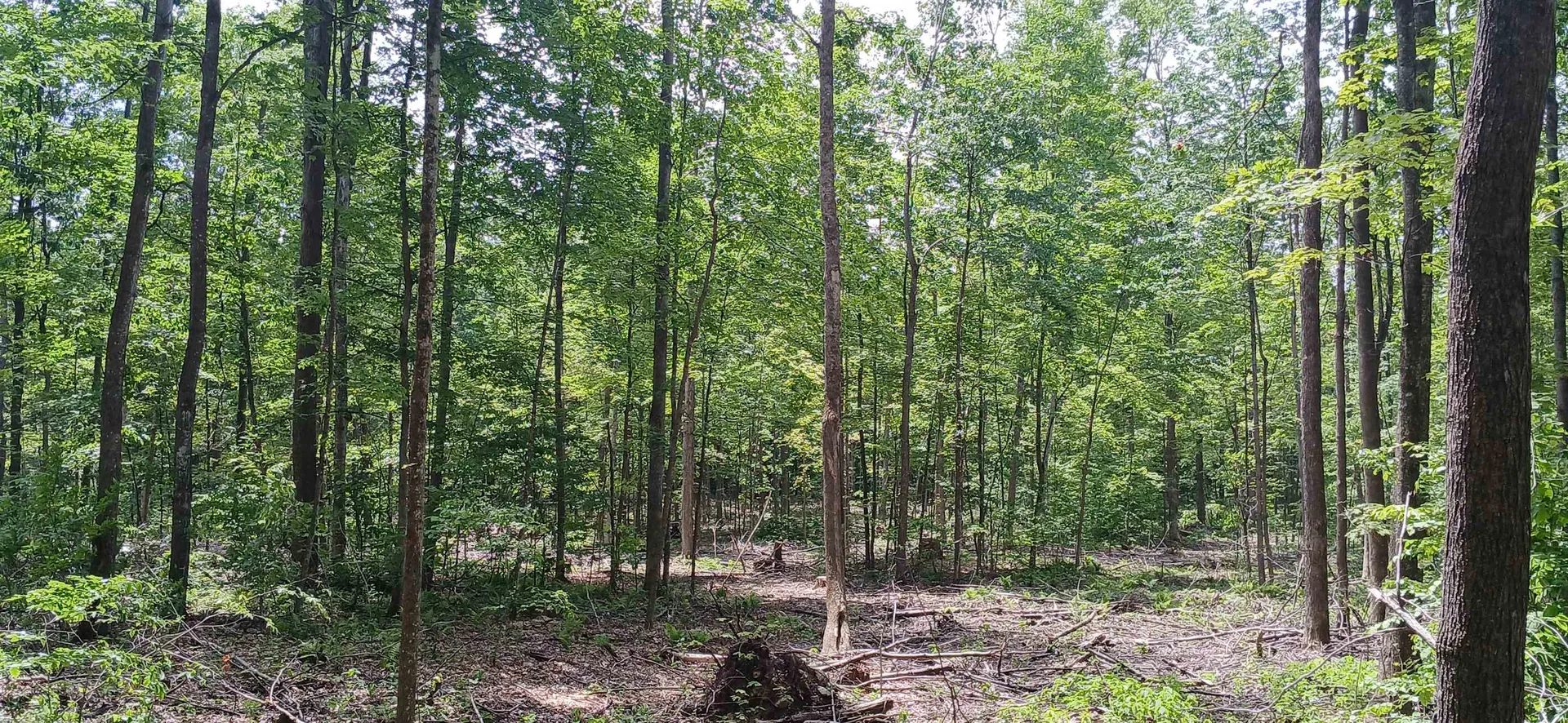 0 North Pond Road Salisbury VT 05769