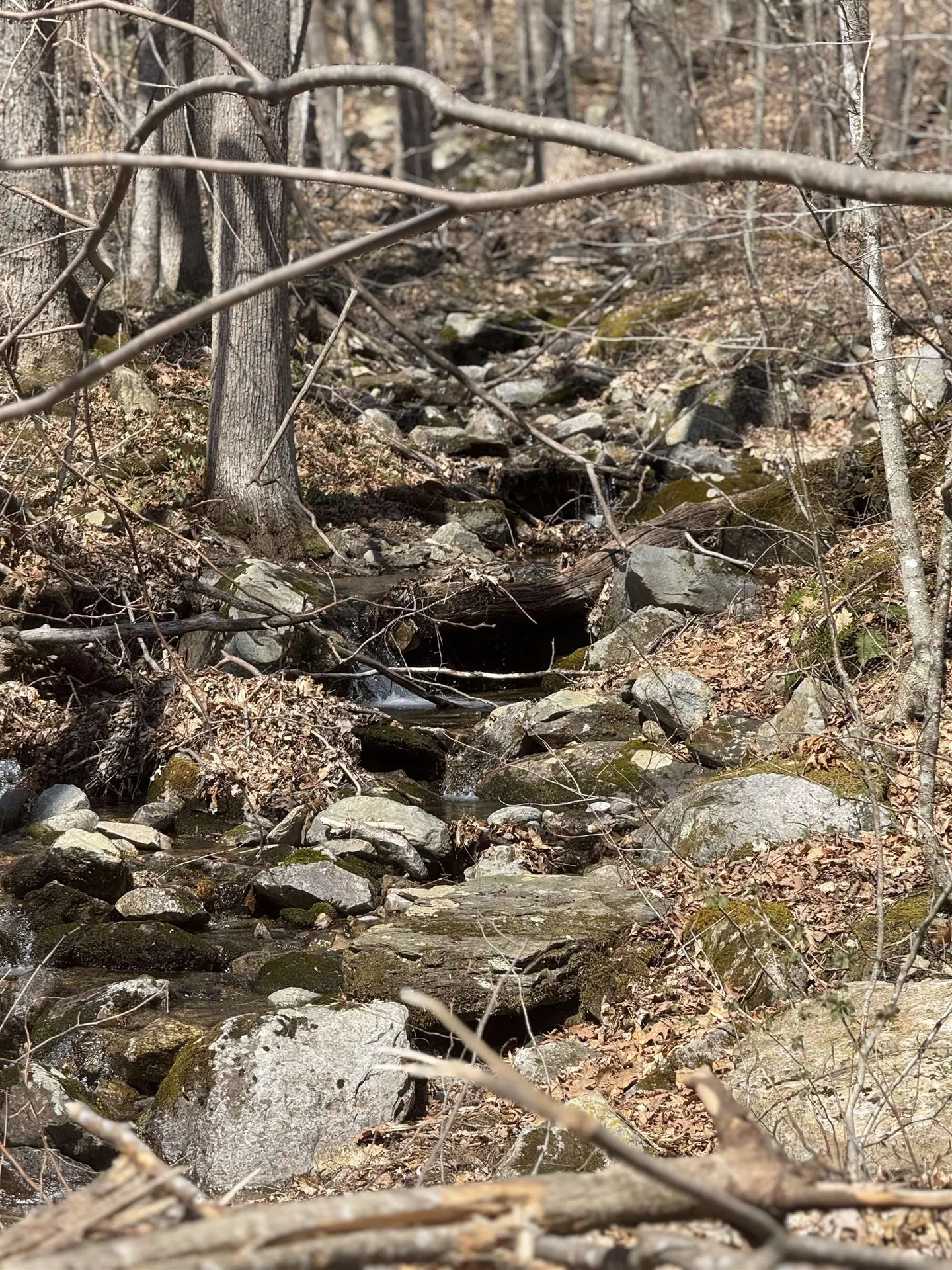 0 North Pond Road Salisbury VT 05769