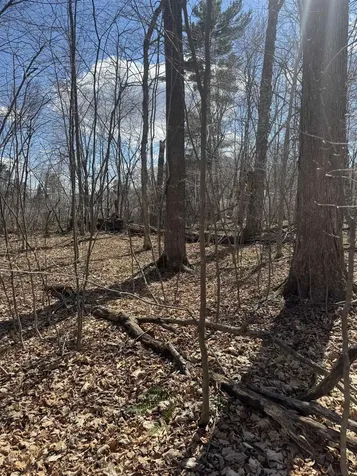 0 North Pond Road Salisbury VT 05769