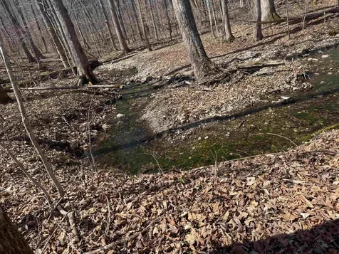 0 North Pond Road Salisbury VT 05769