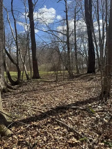 0 North Pond Road Salisbury VT 05769