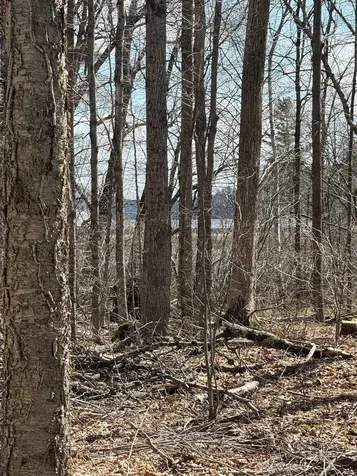 0 North Pond Road Salisbury VT 05769