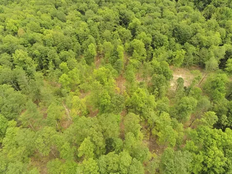 0 North Pond Road Salisbury VT 05769