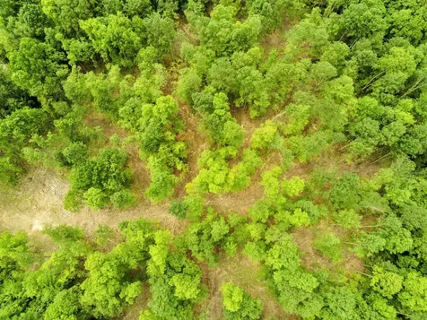 0 North Pond Road Salisbury VT 05769