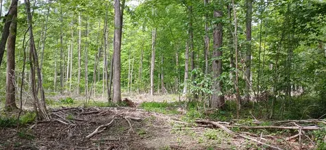 0 North Pond Road Salisbury VT 05769