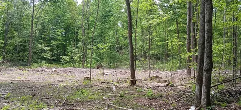 0 North Pond Road Salisbury VT 05769