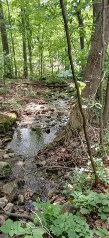 0 North Pond Road Salisbury VT 05769