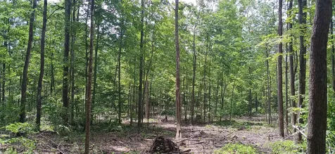 0 North Pond Road Salisbury VT 05769